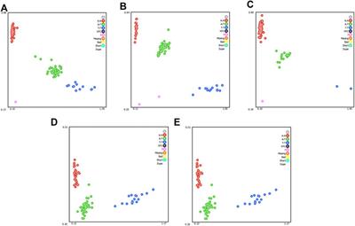 Whole Genome Sequencing Analysis to Identify Candidate Genes Associated With the rib eye Muscle Area in Hu Sheep